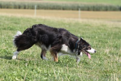 IMG_3331.jpg