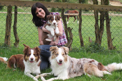 files/user_uploads/hunde/gemischt/D-wurf/dazziiveta.jpg